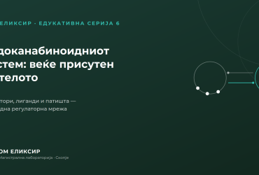 ендоканабиноидниот систем